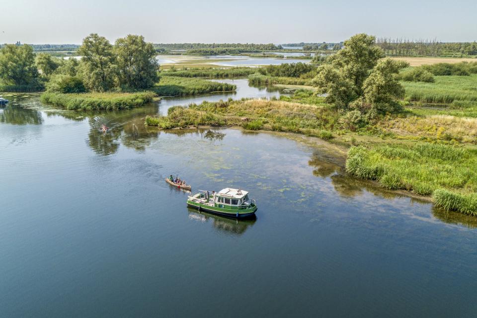Nationaal Park De Biesbosch